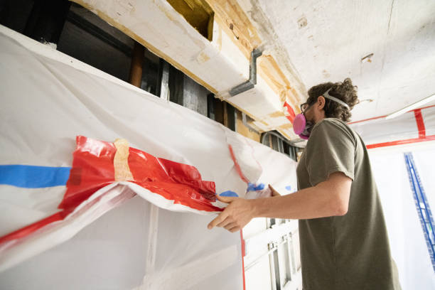 Best Industrial Mold Remediation  in Henderson, KY
